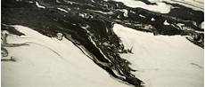 Bianco Lasa Marble