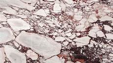 Calacatta Viola Marble