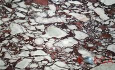 Calacatta Viola Marble