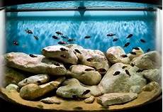 Granite Discus