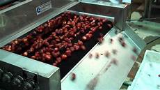 Granite Processing Machinery System