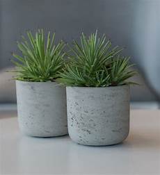 Marble Flower Pot
