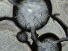 Plastic Coated Wires For Marble